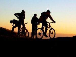 free-wallpapers-mountain-bike