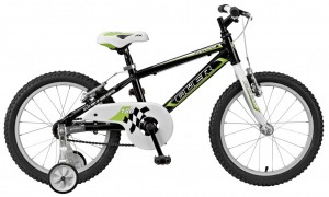 Bicicletas Modelos 2013 QÜER 18″ Código modelo: Q00 180