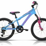 Oferta Navidad bicis niño 24″ 20″ Foto 1