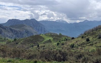Entragu-Taxa-BrañasVicenturio-Gradura-Entragu