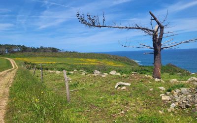 Circular por el LITORAL ASTURIANO en gravel, GR E-9 y Camino de…