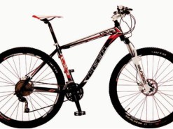 Bicicletas Modelos 2012 QÜER CXR 29er